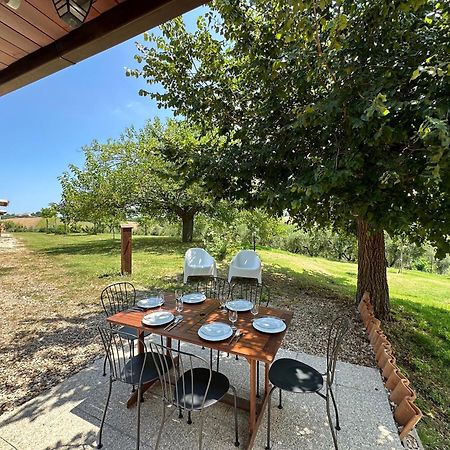 Casale Casini Soccorso Guest House Senigallia Bagian luar foto