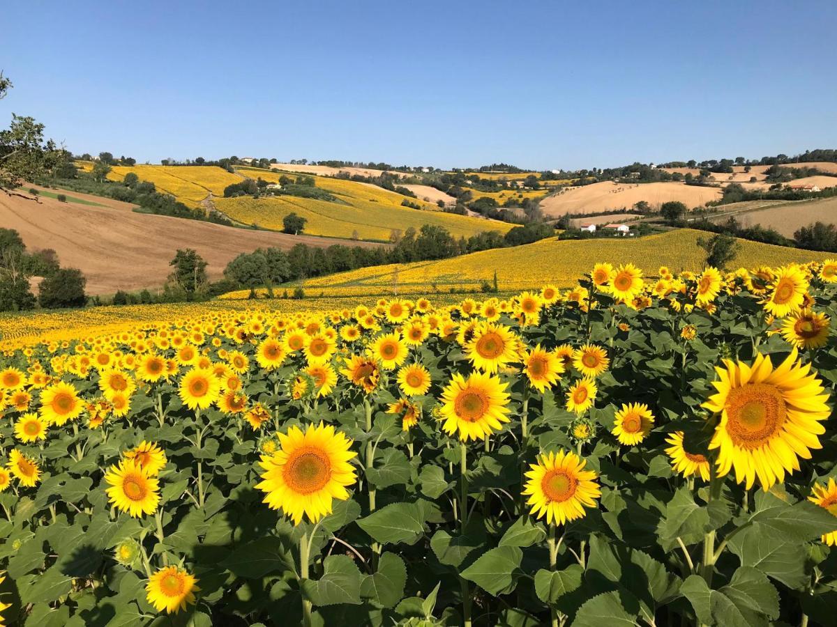 Casale Casini Soccorso Guest House Senigallia Bagian luar foto