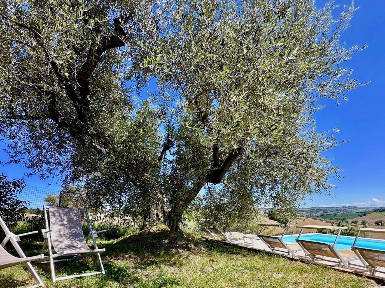 Casale Casini Soccorso Guest House Senigallia Bagian luar foto