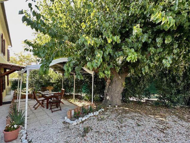 Casale Casini Soccorso Guest House Senigallia Ruang foto